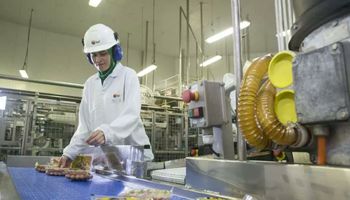 BRF anuncia fábrica na Arábia Saudita com investimento de US$ 160 milhões
