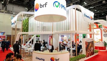 CVM suspende novamente assembleia sobre fusão entre Marfrig e BRF