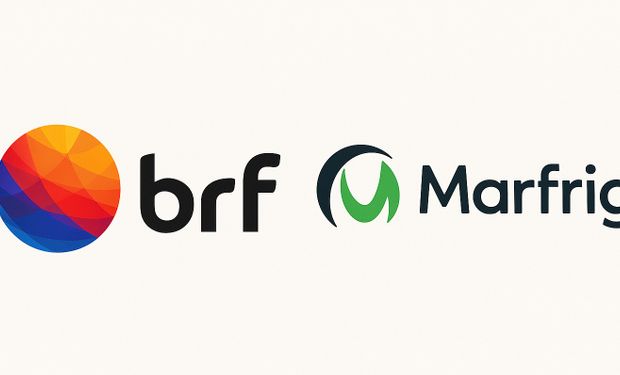A MBRF atuará em 117 países, com marcas como Sadia, Perdigão, Qualy, Banvit e Bassi