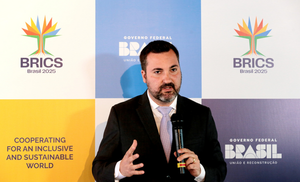 LuisRua_brics