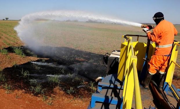 Pelo menos 231,83 mil hectares de lavouras de cana-de-açúcar foram atingidos pelos recentes incêndios registrados no interior de São Paulo. (Foto - Unica)