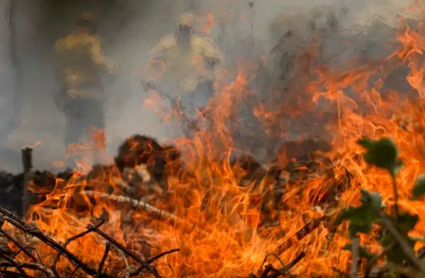 Brigadistas combatem incêndios florestais durante operação