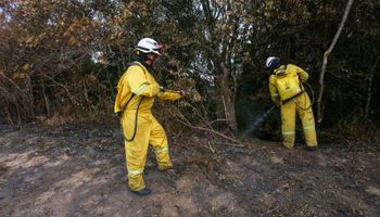Contra incêndios, SP abre 243 vagas para brigadistas com salário de até R$ 4 mil