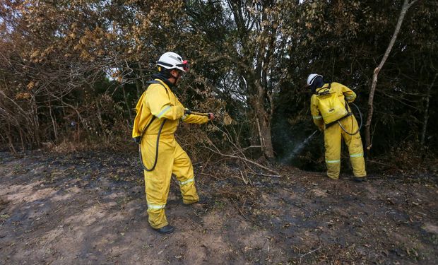 Brigadistas combatem o fogo no Cantareira. Foto: Marcelo S. Camargo/Governo de SP