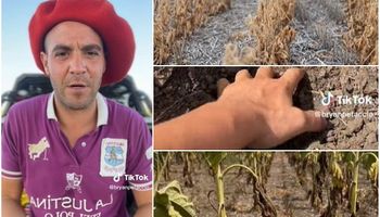 El gaucho de Tik Tok: Bryan Petaccio mostró el grave impacto de la sequía en el campo