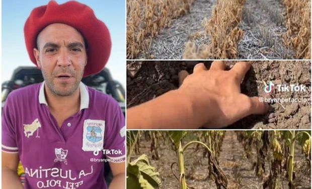 El gaucho de Tik Tok: Bryan Petaccio mostró el grave impacto de la sequía en el campo