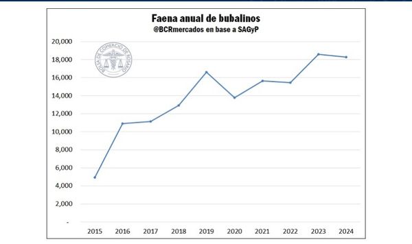 Bufalos en Argentina