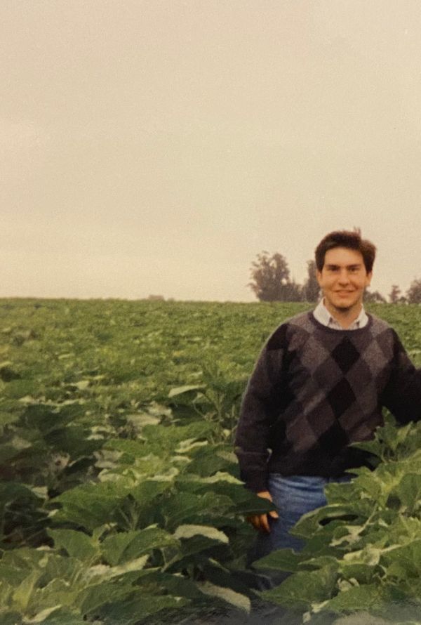 bumper crop joven en el campo