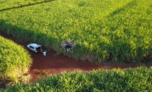 Bunge vende para BP participação de 50% em empresa de açúcar e etanol no Brasil