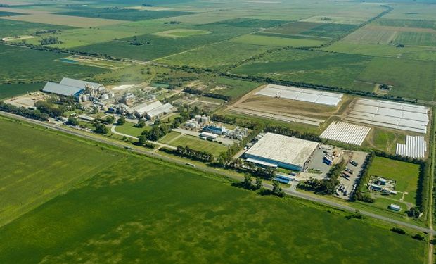 Bunge utilizará energía renovable en sus plantas de Campana, Ramallo, San Jerónimo Sud y Puerto General San Martín