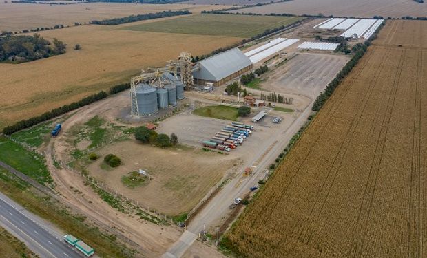 Multinacional del agro busca 13 jóvenes para cinco localidades: qué requisitos hay