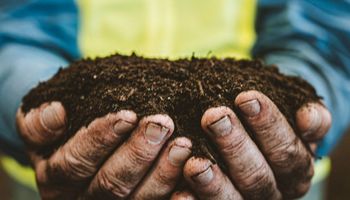 Bunge e Mantiqueira fecham acordo por farelo de soja rastreável