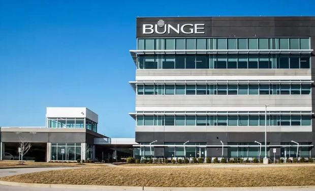 Lucro da Bunge salta cinco vezes no 2º trimestre de 2025 e atinge US$ 354 milhões