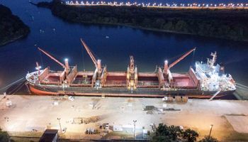 Corrientes y Entre Ríos exportan 17.000 toneladas de madera con destino a India