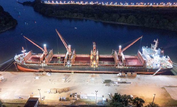 Corrientes y Entre Ríos exportan 17.000 toneladas de madera con destino a India