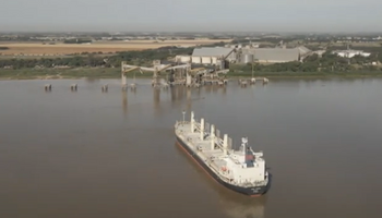 Un barco con 25.000 toneladas de harina de soja quedó varado en el Paraná