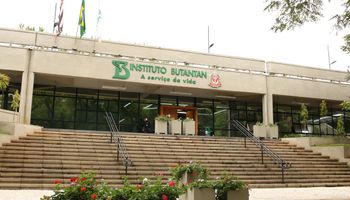 Instituto Butantan inicia desenvolvimento de vacina contra gripe aviária