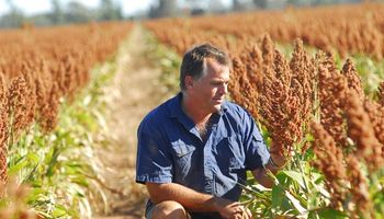 Una encuesta asegura que las elecciones no afectan las decisiones de los productores