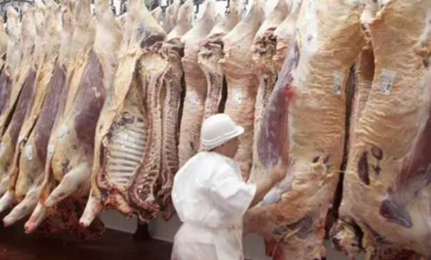 Exportaciones de carne: ingresaron más de U$S 1.700 millones en el primer semestre