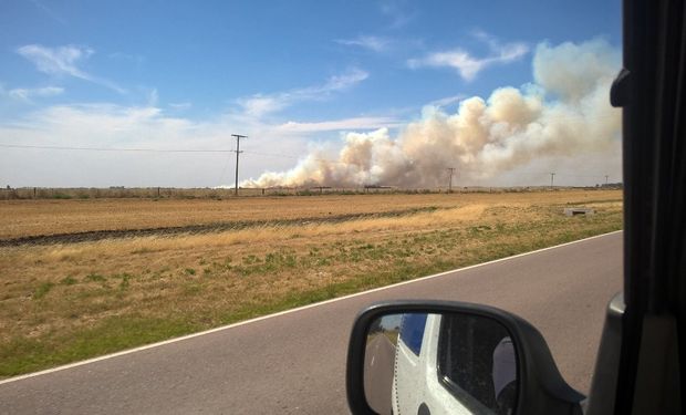 El incendio se inició pasadas las 15 de ayer en cercanías de Ombucta.