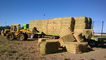 Envían raciones para alimentar el ganado en provincias afectadas por los incendios