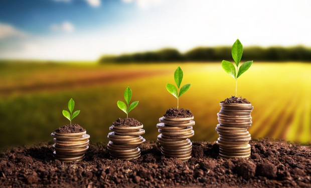 Segundo os dados divulgados, os financiamentos de custeio tiveram aplicação de R$ 189 bilhões