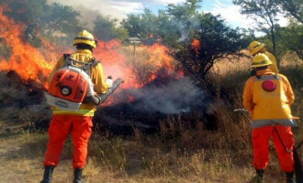 En la provincia ya se consumieron más de un millón de hectáreas de pasturas y bosques.