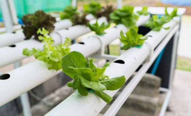 "Nuevas tecnologías en el Agro: aportes para su enseñanza" es uno de los cursos que ofrece el INET.