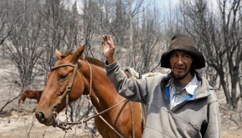 Los incendios motivaron la suspensión de la exposición rural de Esquel: "Tuvieron que sacar las vacas a un lugar más seguro”