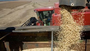 “Contradictorio a la producción”: el Consejo Agroindustrial rechazó la suba de retenciones propuesta por el Gobierno