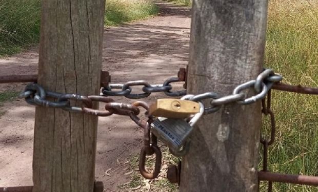 Robo de ganado: se llevaron más de 80 vacas de un campo de Bolívar por un valor de 14 millones de pesos