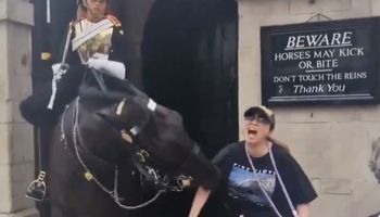 Se quiso sacar una foto con un caballo de la Guardia Real, la mordió y el video se hizo viral