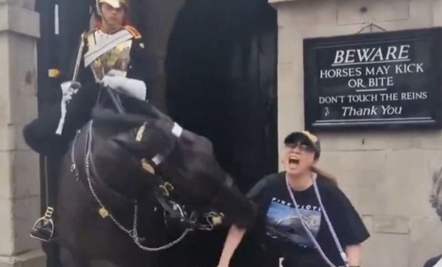 Se quiso sacar una foto con un caballo de la Guardia Real, la mordió y el video se hizo viral