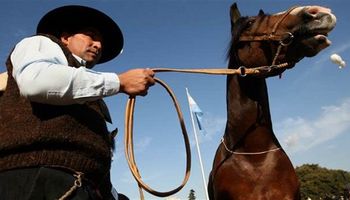 Después de 50 años en vigencia, dejan sin efecto una ley de Fomento Equino