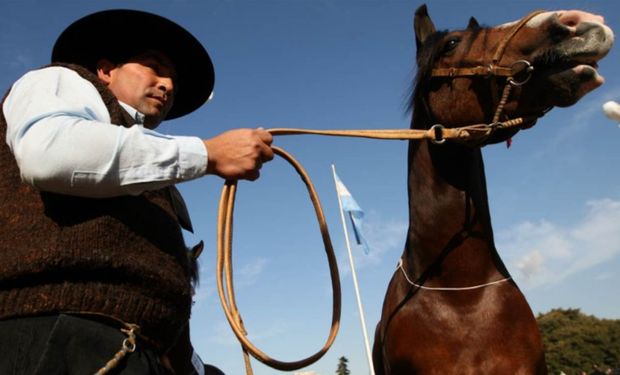 El caballo criollo, presente desde la época de la colonia.