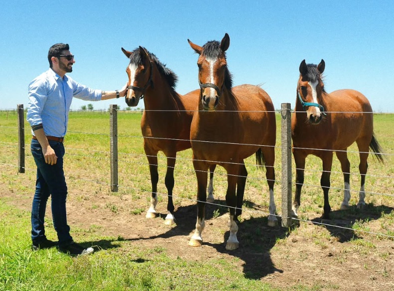 noticiaspuertosantacruz.com.ar - Imagen extraida de: https://news.agrofy.com.ar/noticia/212181/crearon-primeros-caballos-editados-geneticamente-y-apuntan-cerdos-y-bovinos-empresa