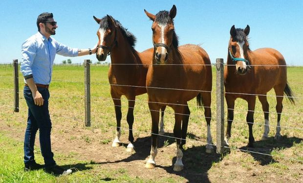 Crearon los primeros caballos editados genéticamente y apuntan a cerdos y hasta bovinos: la empresa argentina que lidera la clonación a nivel mundial y espera entregar 400 clones en 2025