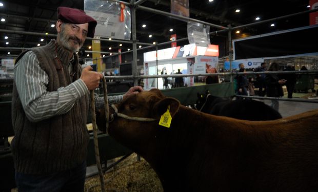 Un remate en plena pandemia fue el inicio de una cabaña que ya tiene 20 animales de pedigree: es su primera vez en la Expo Rural