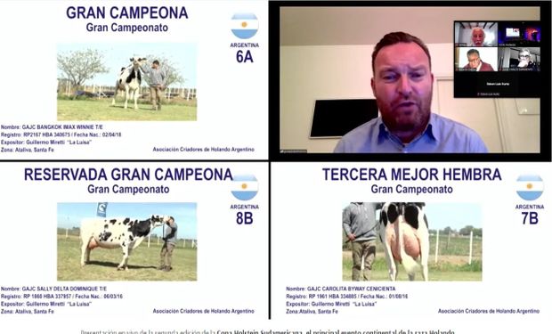 Las vacas argentinas que coparon el podio de una competencia internacional