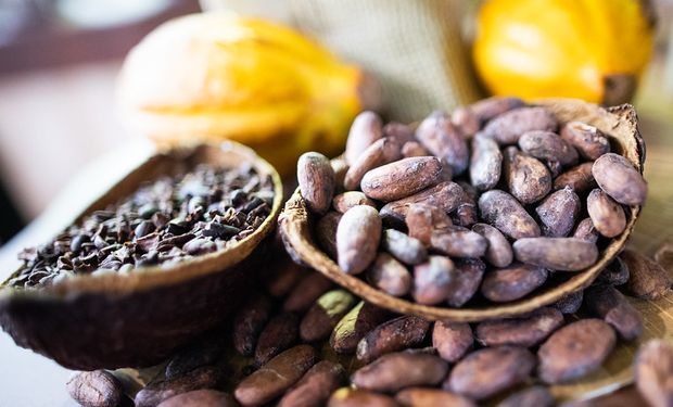 Brasil e Camarões firmam acordo para impulsionar produção sustentável de cacau