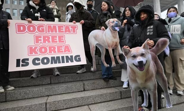 Durante a votação, ativistas dos direitos dos animais seguraram cartazes em apoio ao projeto. (Foto - Jung Yeon-Je)