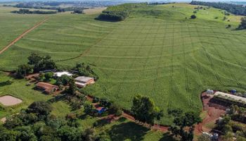 Parceria com Google libera imagens e promete destravar o Cadastro Ambiental Rural