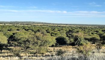 La Pampa: productores se levantan contra la creación de un parque nacional que incluye la expropiación de 108.000 hectáreas