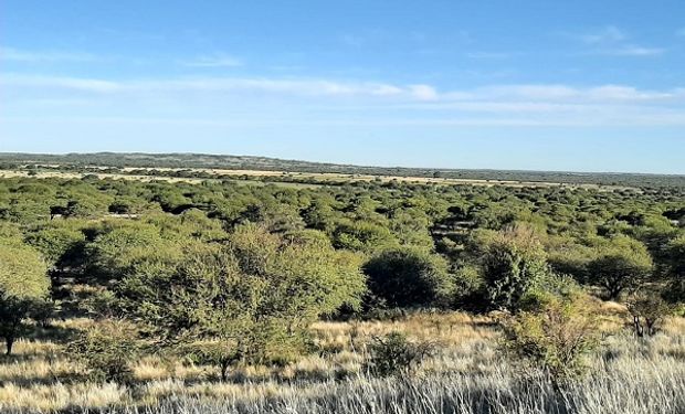 La Pampa: productores se levantan contra la creación de un parque nacional que incluye la expropiación de 108.000 hectáreas