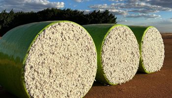 Cadeia do algodão reage a possível fim da taxa das blusinhas e alerta para impacto na indústria