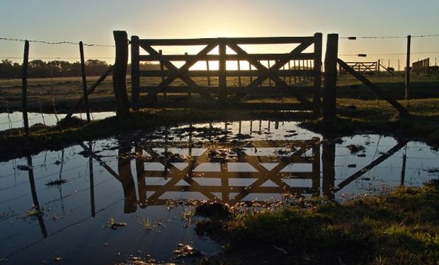 La decisión, se fundamenta en la gravedad de la situación climatológica y ambiental que afecta la producción agropecuaria.