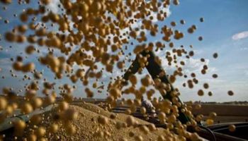 Cadenas de valor contra la ley de abastecimiento
