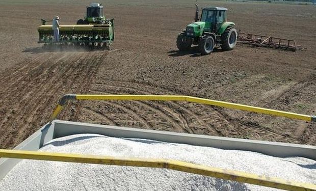 Esta depresión refleja la magnitud del efecto dominó de la crisis de los productores sobre el resto de la cadena comercial.