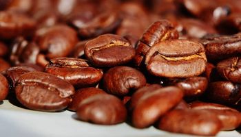 USDA aponta aumento de 4,2% na produção mundial de café em 2024/25