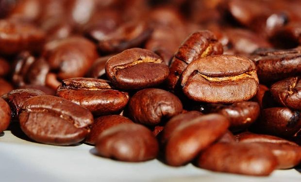 USDA aponta aumento de 4,2% na produção mundial de café em 2024/25